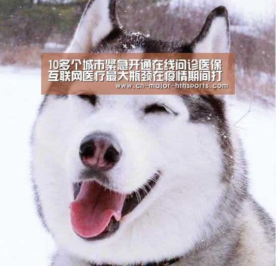 10多个城市紧急开通在线问诊医保互联网医疗最大瓶颈在疫情期间打通【华体会体育】