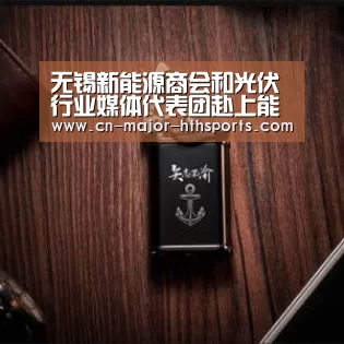 无锡新能源商会和光伏行业媒体代表团赴上能电气考察|华体会体育