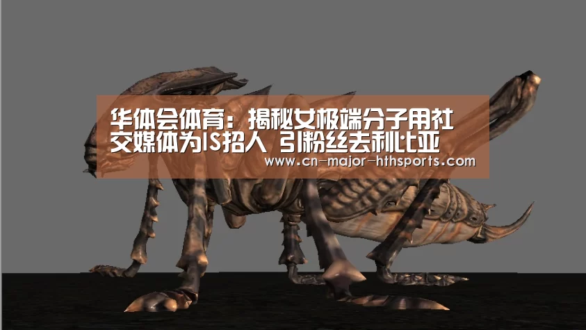 华体会体育：揭秘女极端分子用社交媒体为IS招人 引粉丝去利比亚