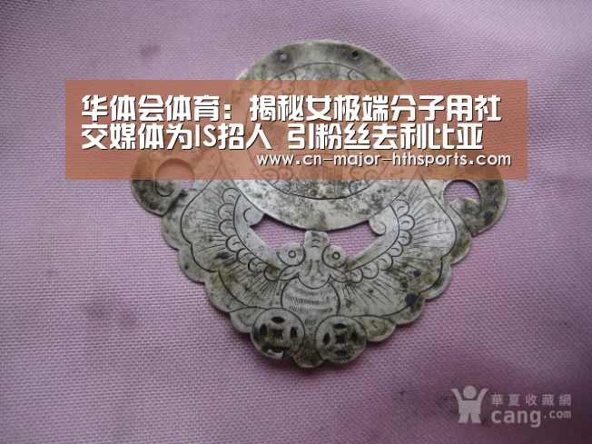 华体会体育